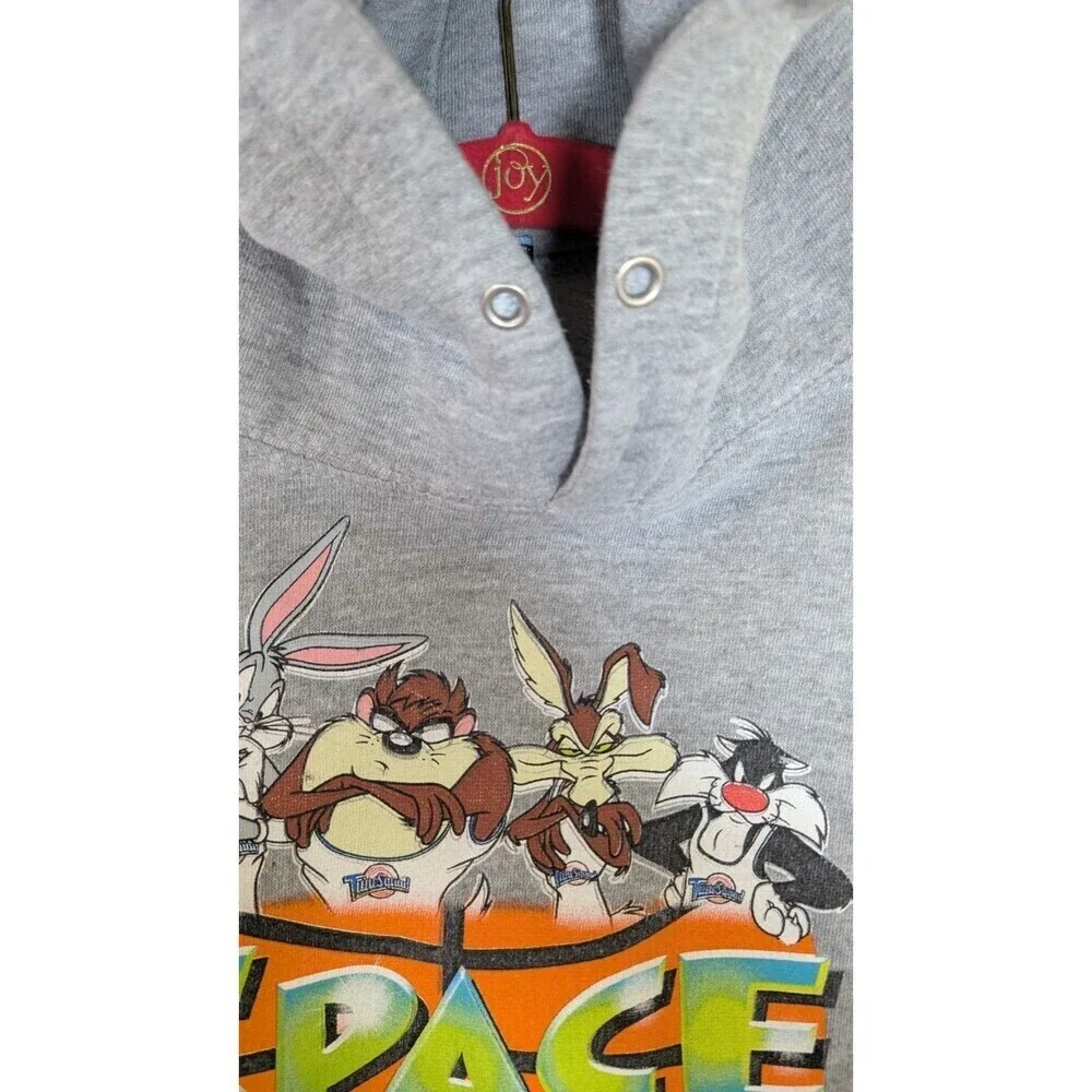 Vintage Y2K Space Jam Hoodie Looney Tunes Life Authentic Apparel Gray Large 90s